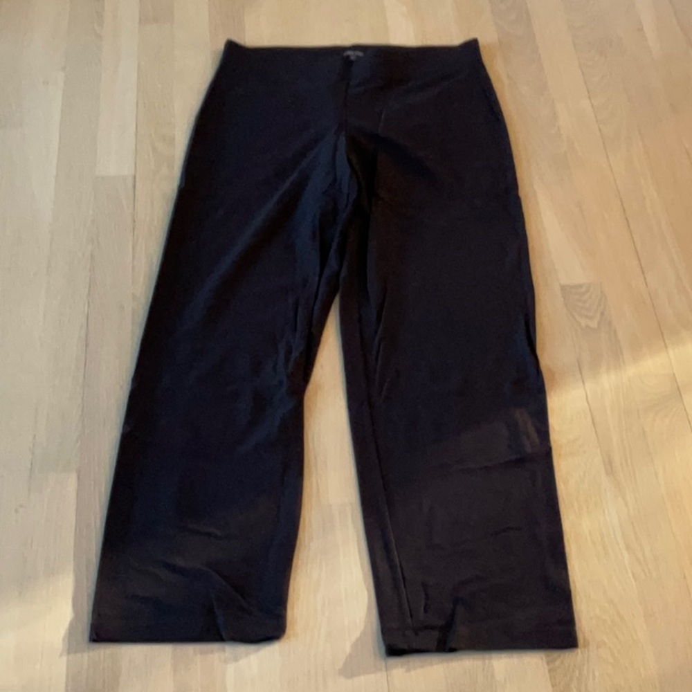 Eileen Fisher Brown Crepe womens pants